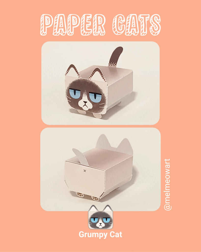 Paper cat - Grumpy